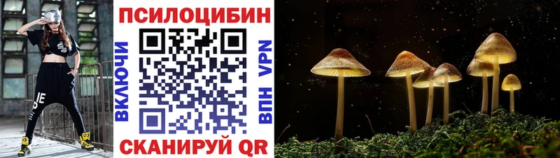 Псилоцибиновые грибы Cubensis  Лениногорск 